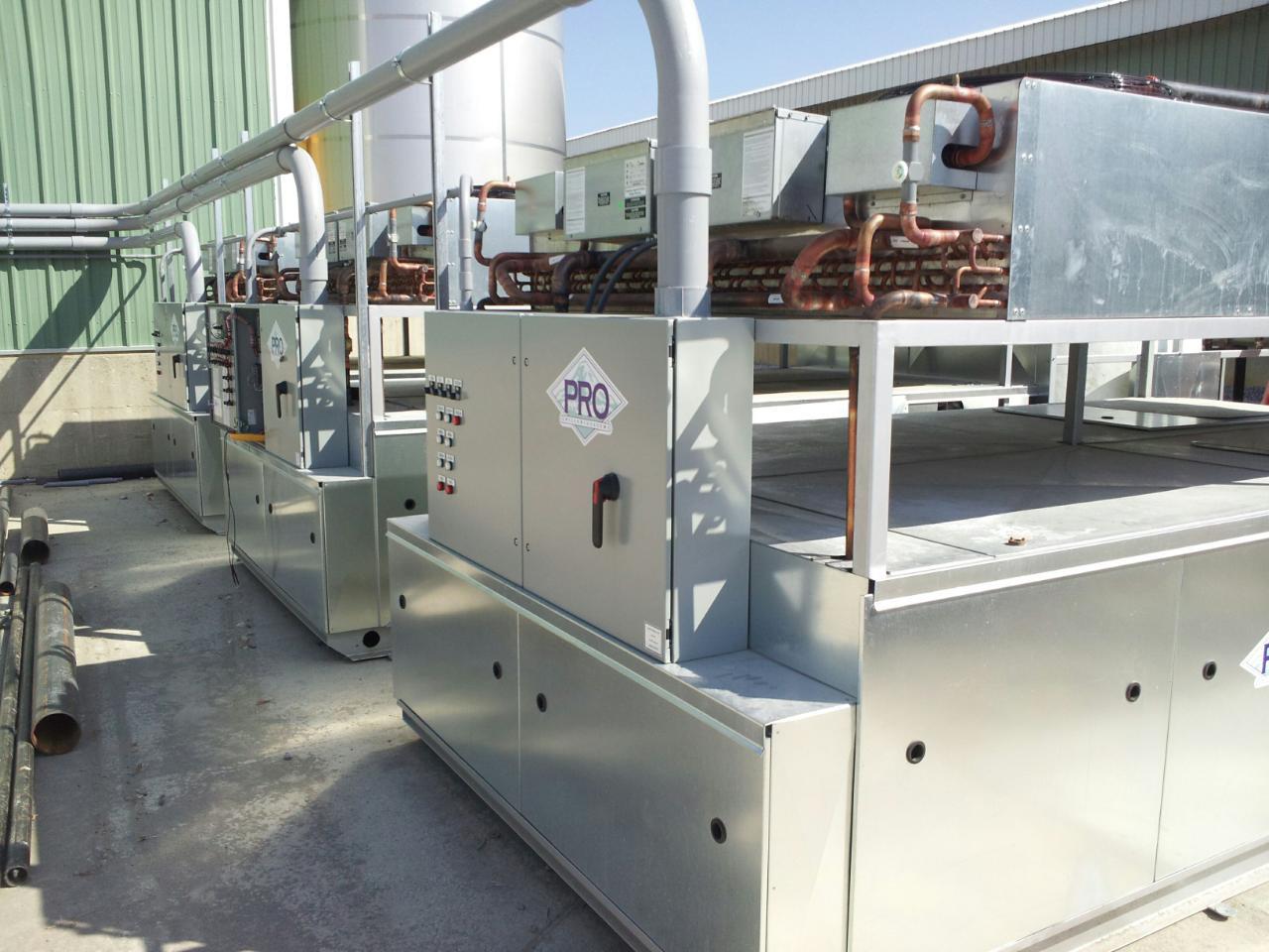 Egg Processing Plant