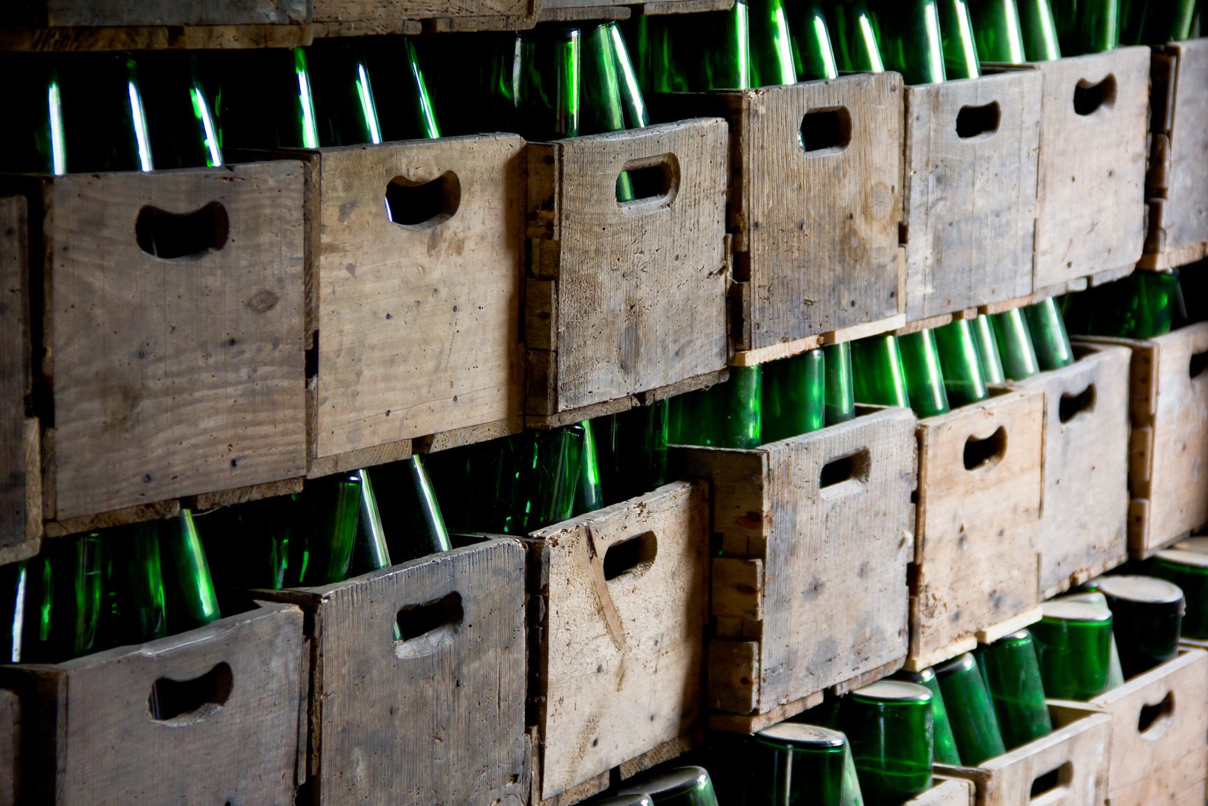 Cider